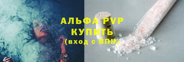 прущие грибы Балахна